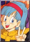 bulma021.JPG (11753 bytes)