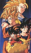 goku031.jpg(16253 bytes)